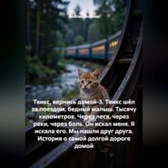 Твикс, вернись домой-3. Твикс шёл за поездом, бедный малыш. Тысячу километров. Через леса, через реки, через боль. Он искал меня. Я искала его. Мы нашли друг друга. История о самой долгой дороге домой