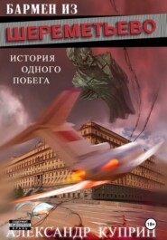 Бармен из Шереметьево