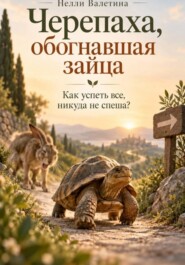 Черепаха, обогнавшая зайца. Как успеть все, никуда не спеша?