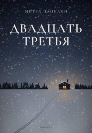 Двадцать третья