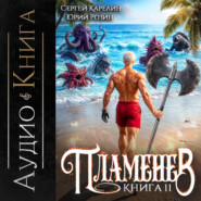 Пламенев. Книга XI