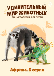 Удивительный мир животных. Африка. 6 серия