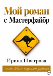 Мой роман с Мастерфайбр. Записки бывшего генерального директора