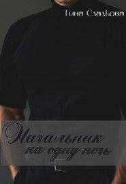 Начальник на одну ночь