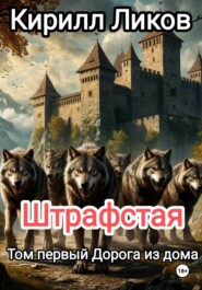 Штрафстая Том первый: Дорога из дома