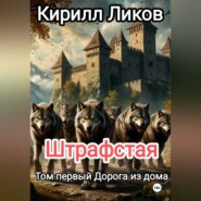 Штрафстая Том первый: Дорога из дома