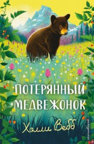 Потерянный медвежонок