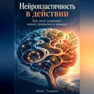 Нейропластичность в действии: Как мозг осваивает новые привычки и навыки