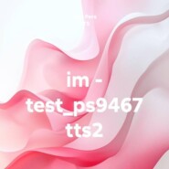 im - test_ps9467 tts2