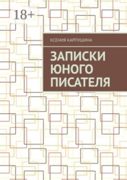 Записки юного писателя