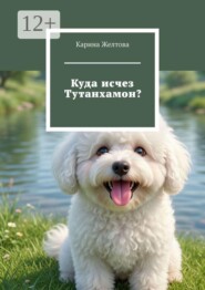 Куда исчез Тутанхамон?