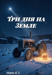Три дня на Земле
