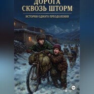 ДОРОГА СКВОЗЬ ШТОРМ