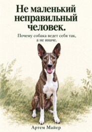 Не маленький неправильный человек. Почему собака ведет себя так, а не иначе