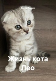 Жизнь кота Лео