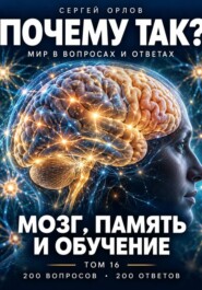 Почему так? Мозг, память и обучение. Том 16