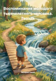 Воспоминания молодого тысячелетнего человека. Гвоздь