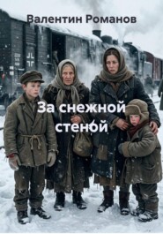 За снежной стеной
