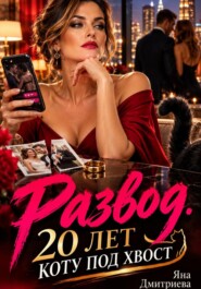Развод. 20 лет коту под хвост