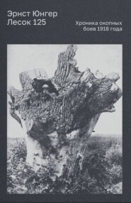 Лесок 125. Хроника окопных боев 1918