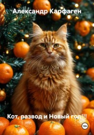 Кот, развод и Новый год!!!