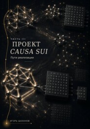 Проект Causa Sui - пути реализации Часть III