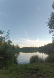 Жизнь меня