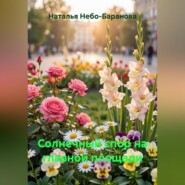 Солнечный спор на главной площади