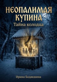 Неопалимая Купина. Тайна колодца.  (Книга 2)