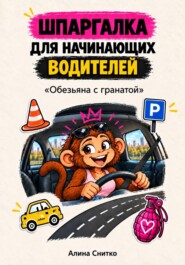 Шпаргалка для начинающих водителей «Обезьяна с гранатой»
