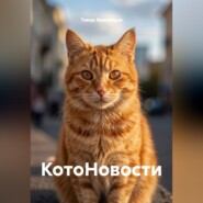 КотоНовости
