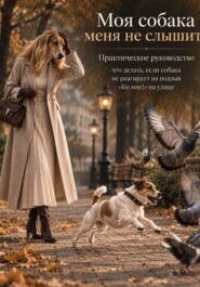 "Моя собака меня не слышит". Практическое руководство по коррекции поведения