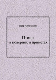 Птицы в повериях и приметах