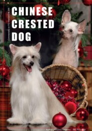 THE EXTERIOR OF THE CHINESE CRESTED DOG AND ITS EVALUATION