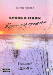 Кровь и сталь. Жизнь под прицелом