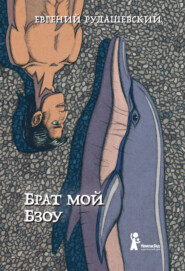 Брат мой Бзоу