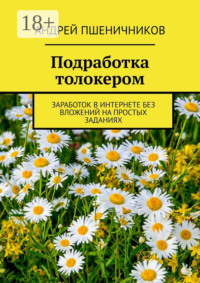 Подработка толокером. Заработок в интернете без вложений на простых заданиях