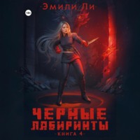 Черные лабиринты. Книга 4