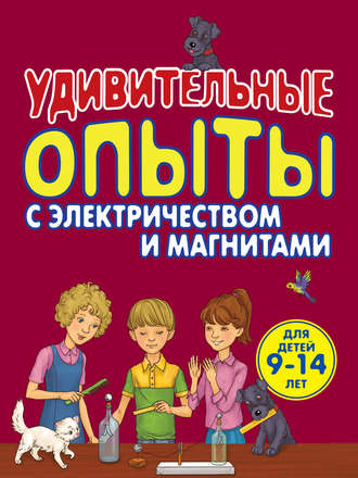 Удивительные опыты с электричеством и магнитами