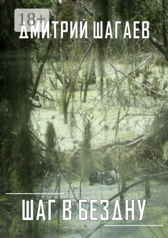 Шаг в бездну