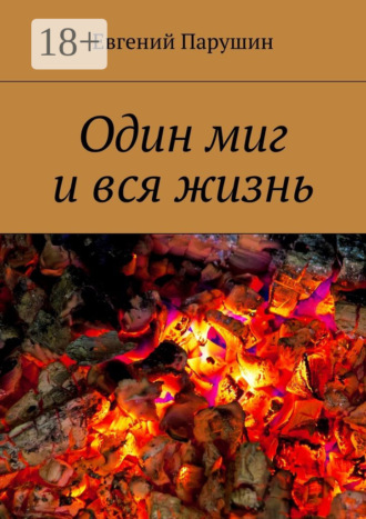 Один миг и вся жизнь