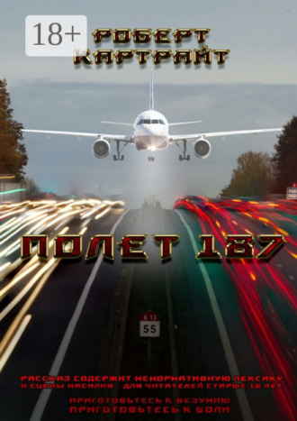 Полёт 187. Из цикла рассказов «Приготовьтесь к безумию. Приготовьтесь к боли»