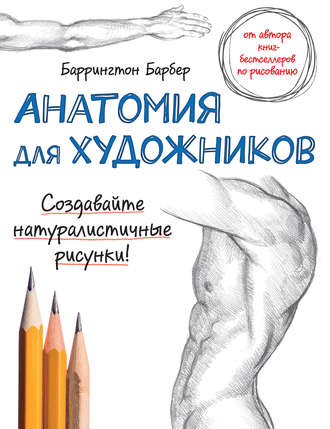 Анатомия для художников