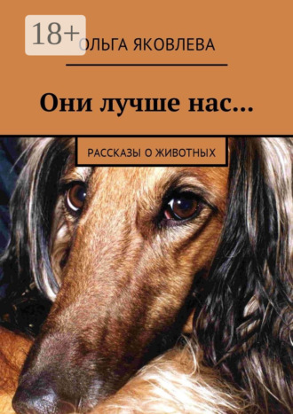 Они лучше нас… Рассказы о животных