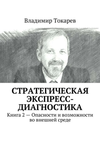 Стратегическая экспресс-диагностика. Книга 2 – Опасности и возможности во внешней среде