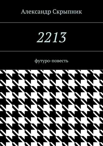 2213. футуро-повесть