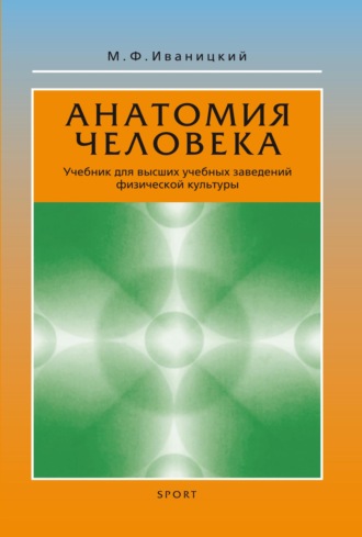 Анатомия человека (с основами динамической и спортивной морфологии). Учебник для высших учебных заведений физической культуры