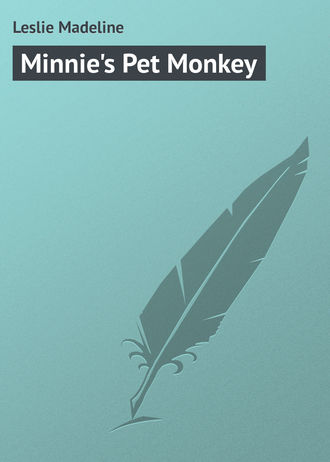 Minnie's Pet Monkey