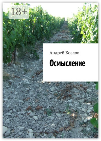 Осмысление