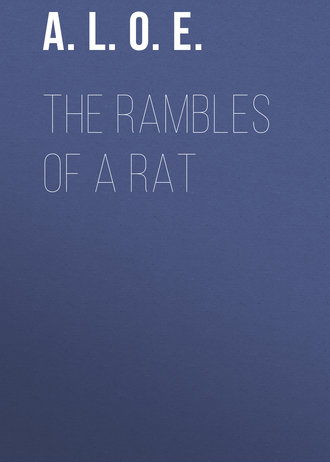 The Rambles of a Rat